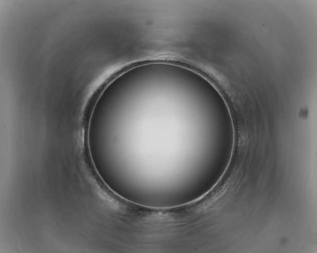 X0000094331414200711091354