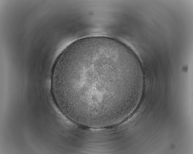 X0000094331415200711091354