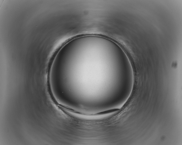 X0000094331416200711091354