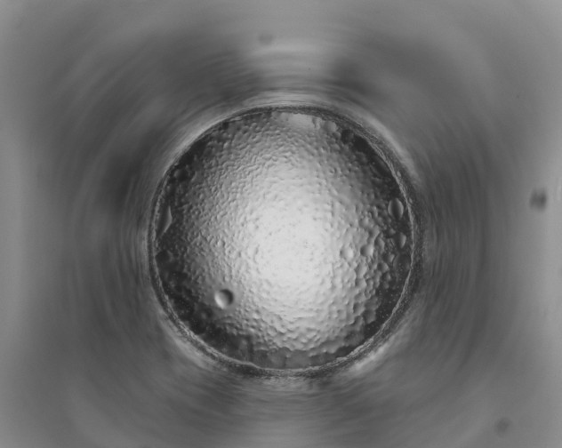 X0000094331417200711091354