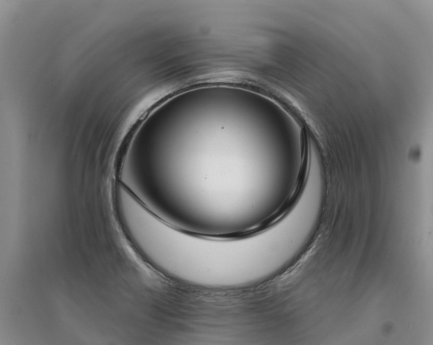 X0000094331418200711091354