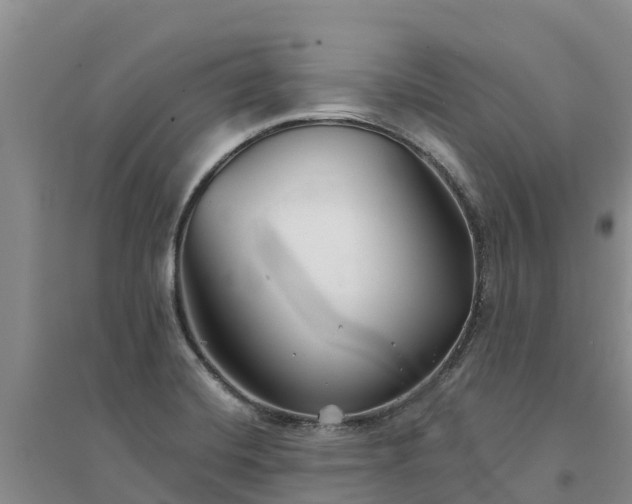 X0000094331420200711091354