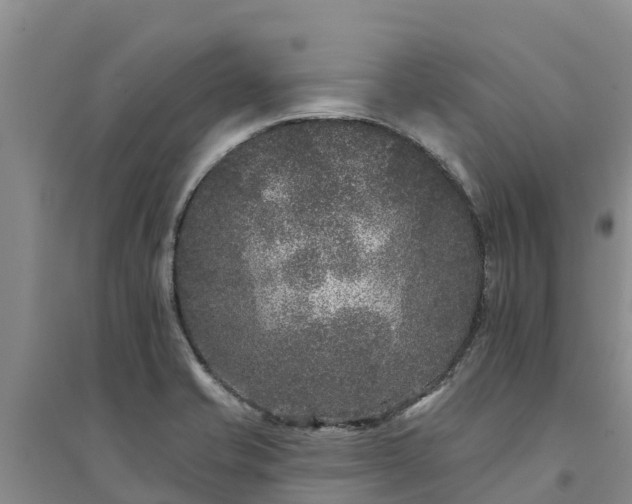 X0000094331421200711091354