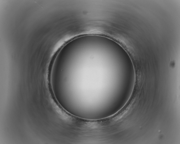 X0000094331422200711091354