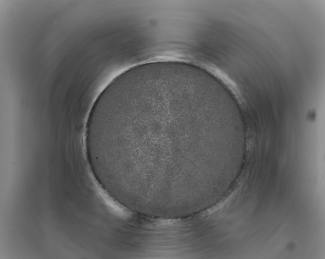 X0000094331423200711091354