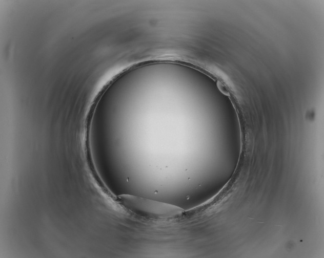 X0000094331424200711091354