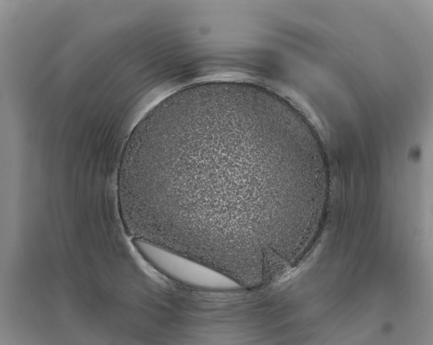 X0000094331425200711091354