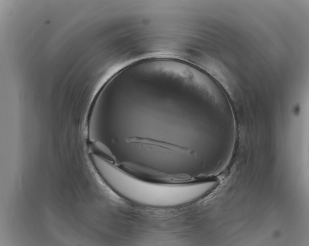 X0000094331428200711091354