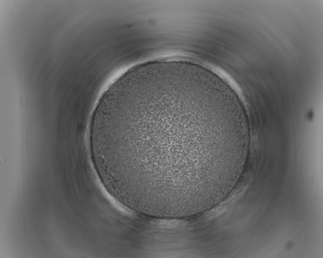 X0000094331429200711091354