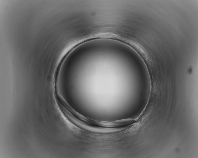 X0000094331430200711091354