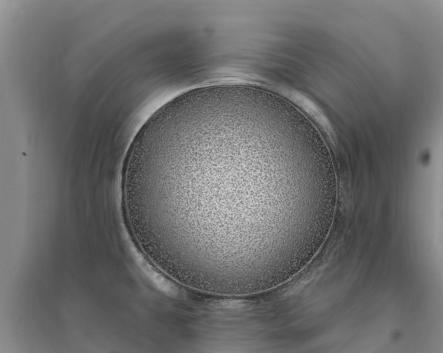 X0000094331431200711091354