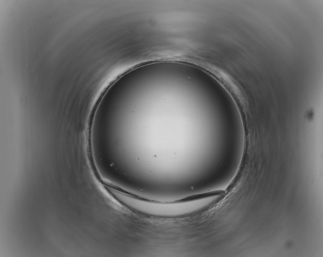 X0000094331432200711091354