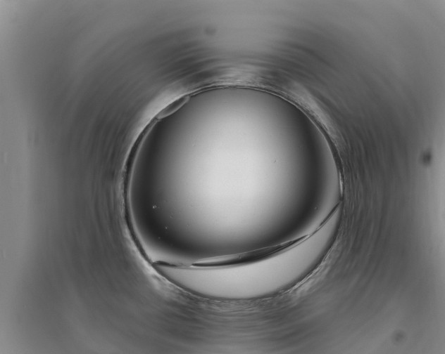 X0000094331434200711091354
