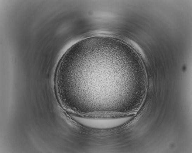 X0000094331435200711091354
