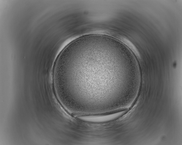 X0000094331436200711091354