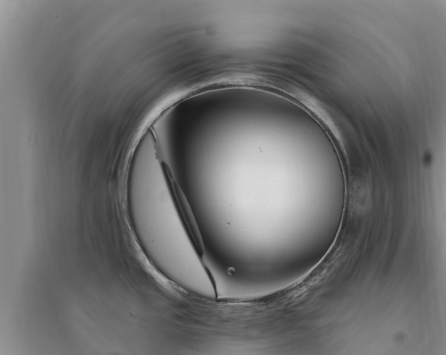 X0000094331437200711091354