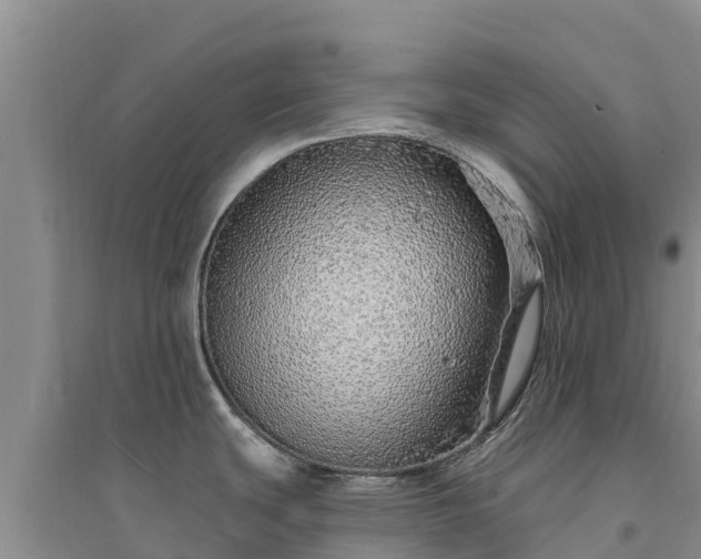 X0000094331439200711091354