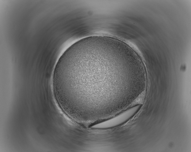 X0000094331440200711091354