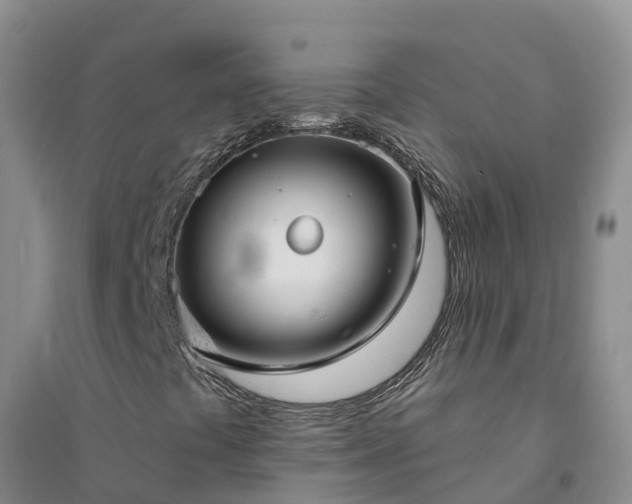 X0000094331441200711091354