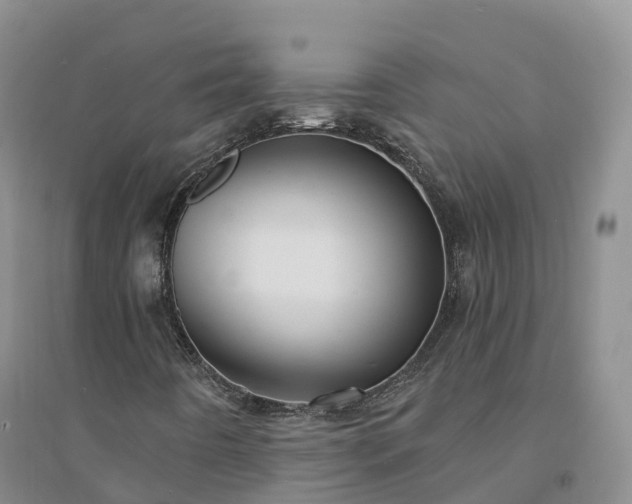 X0000094331442200711091354
