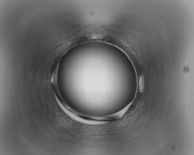 X0000094331443200711091354