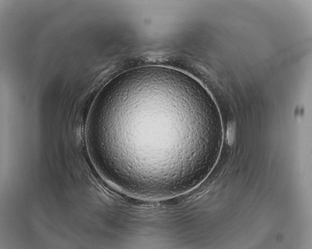 X0000094331444200711091354