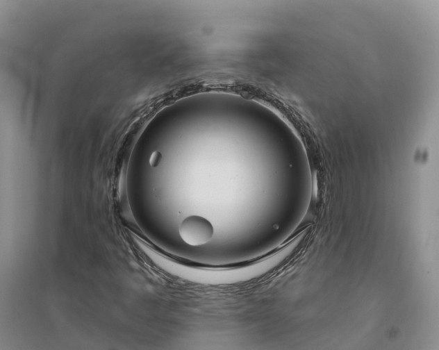 X0000094331445200711091354