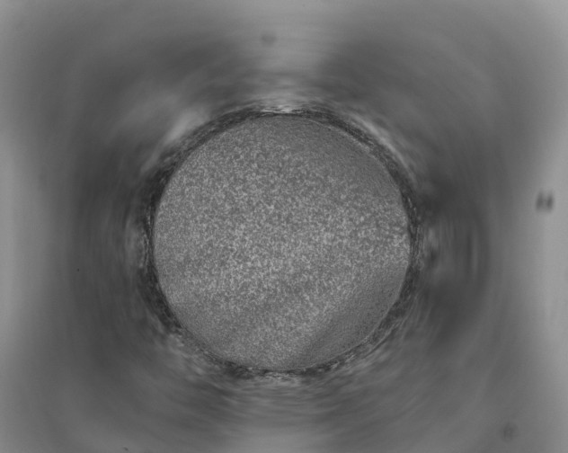 X0000094331446200711091354