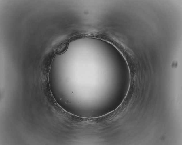 X0000094331447200711091354