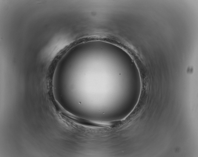 X0000094331448200711091354