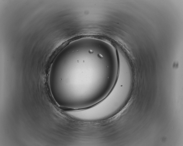 X0000094331449200711091354