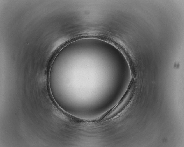 X0000094331450200711091354