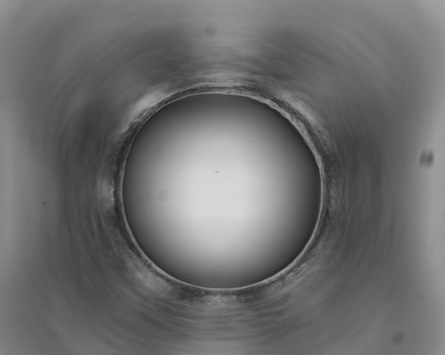 X0000094331451200711091354
