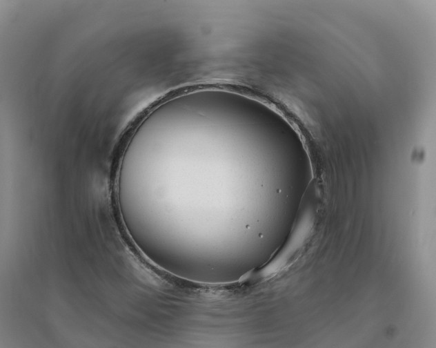 X0000094331452200711091354