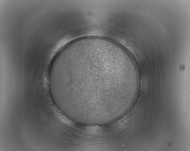 X0000094331454200711091354
