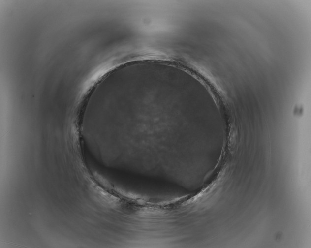 X0000094331455200711091354