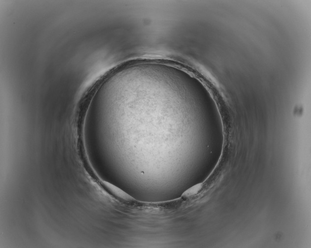 X0000094331456200711091354