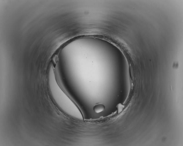 X0000094331457200711091354