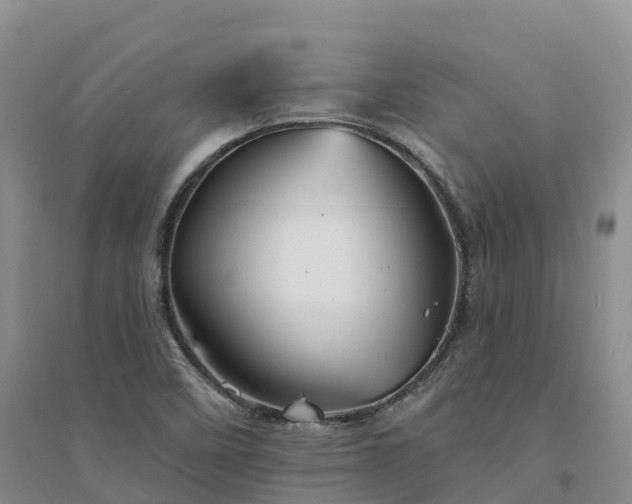 X0000094331458200711091354