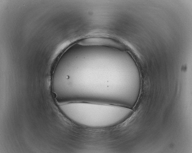 X0000094331461200711091354
