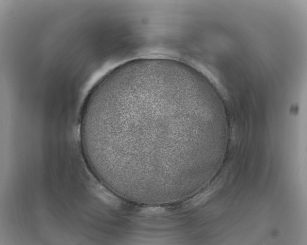 X0000094331462200711091354