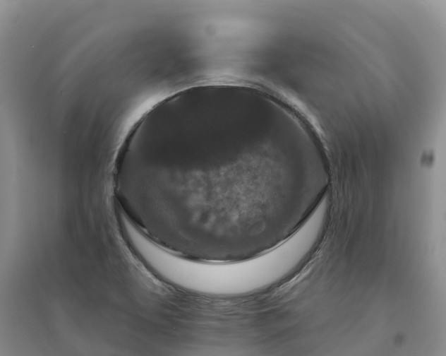 X0000094331463200711091354