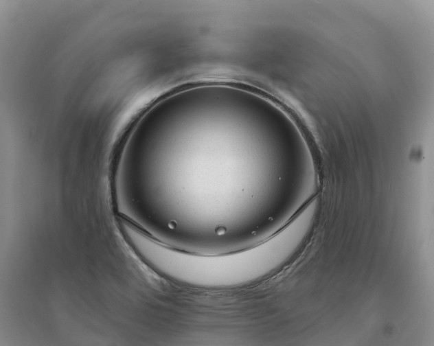X0000094331464200711091354