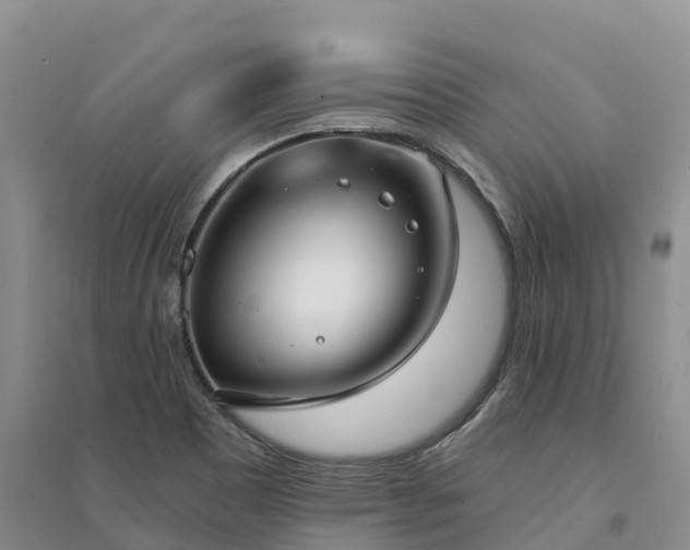 X0000094331465200711091353