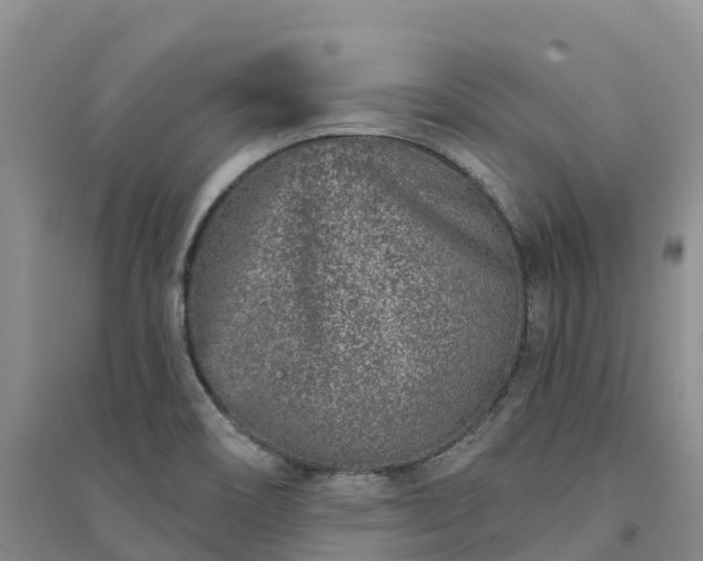 X0000094331466200711091353