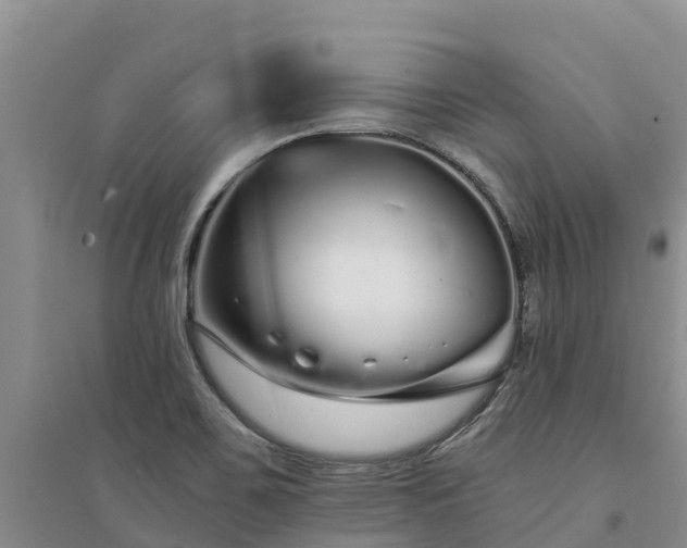 X0000094331467200711091353