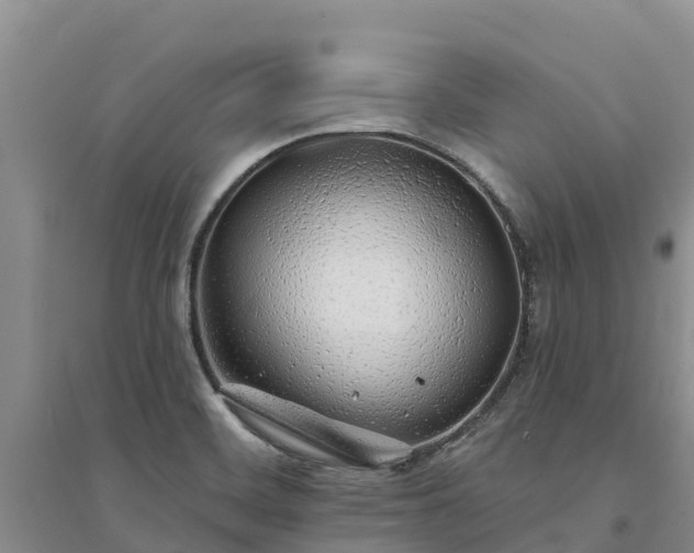 X0000094331468200711091353