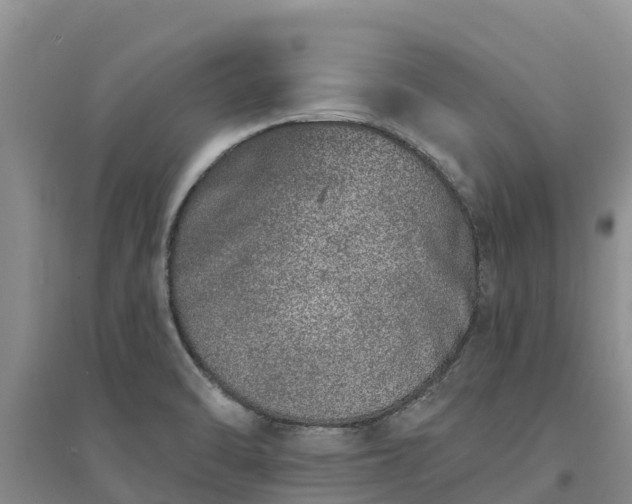 X0000094331470200711091353
