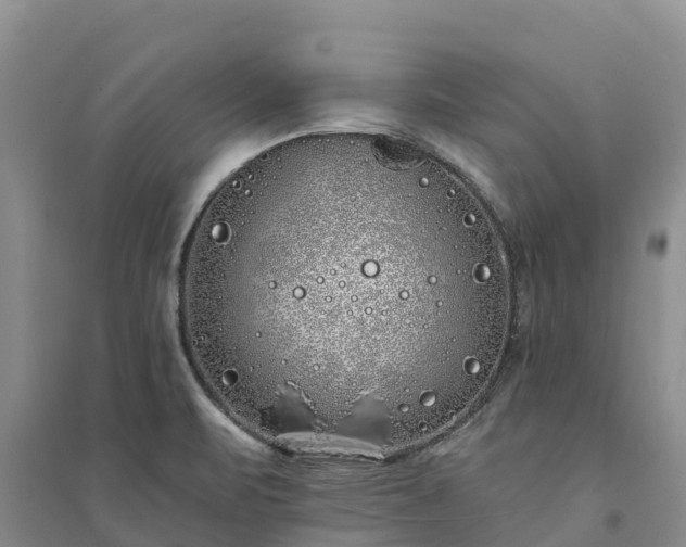 X0000094331471200711091353