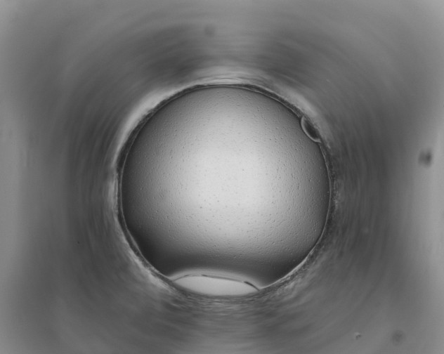 X0000094331472200711091353